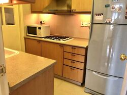 Nineteen Shelford Road (D11), Condominium #534194601
